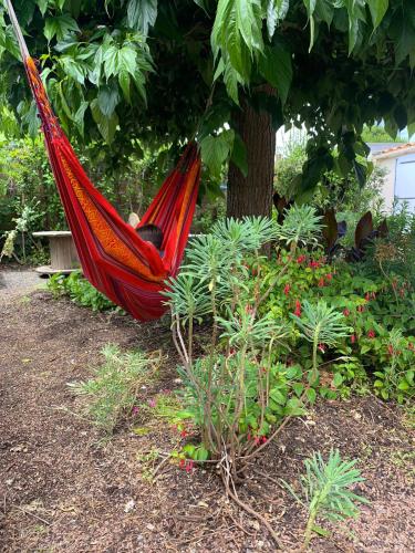 Ensemble, dans une maison avec jardin près de la mer