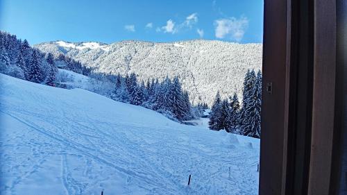 MAGNIFIQUE APPARTEMENT REFAIT à NEUF - CALME - 2 Chambres - 6 Personnes - Vue Montagne GRAND CERF 65 - main image