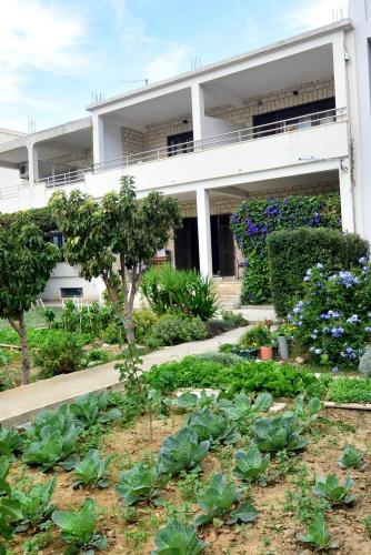 Apartment in Duce with sea view, terrace, air conditioning, WiFi 4969-1, Duće (photo 5)