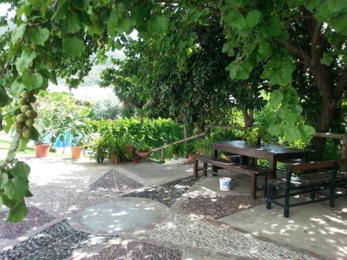 設施, Casa Antonio Algodonales in 阿爾戈多納萊斯