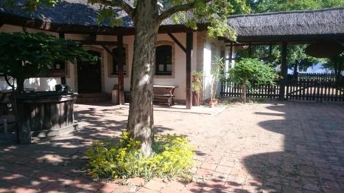 Hajóskert Vendégház (Hajoskert Vendeghaz) in Győr