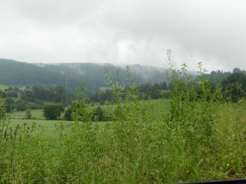 A környék, Fewo Im gruenen Eck 1 in Beerfelden