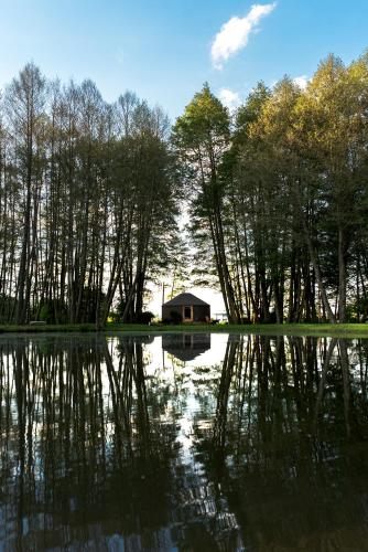 FORGLAMP, Bydgoszcz (foto 9)