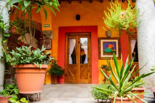 Los Arrayanes – Oaxaca, NE
