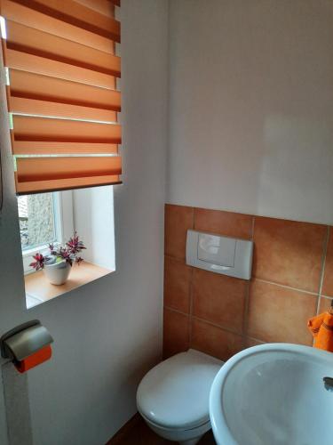 Ferienwohnung Villa Frosch in Meiningen