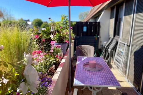 T2 avec terrasse proche centre-ville - Cabourg