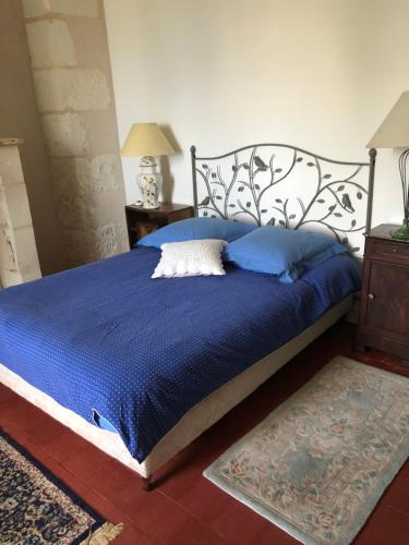 Grand gite en rez-de-jardin - Chambre d'hôtes - Saint-Aignan