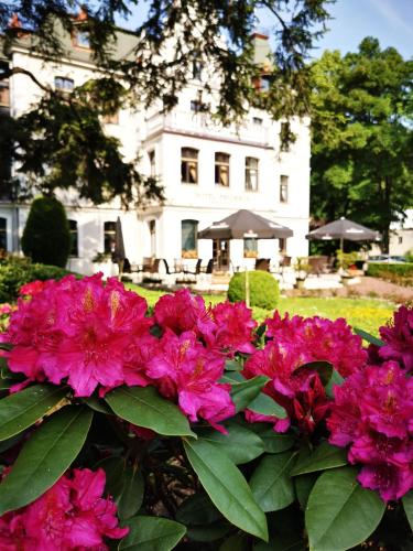 Hotel Fryderyk - image 2