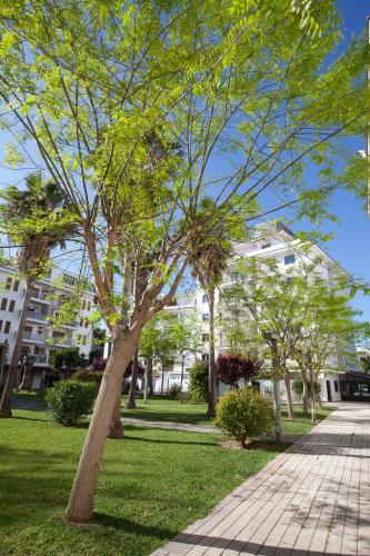 Apartamentos Ferrer Tamarindos - image 14