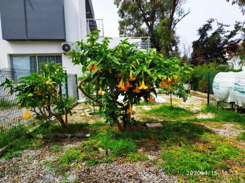 White Suit Apartment - image 14
