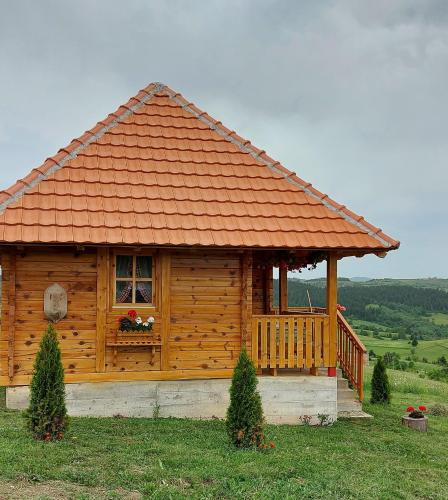 . Etno domacinstvo Uvacki konaci