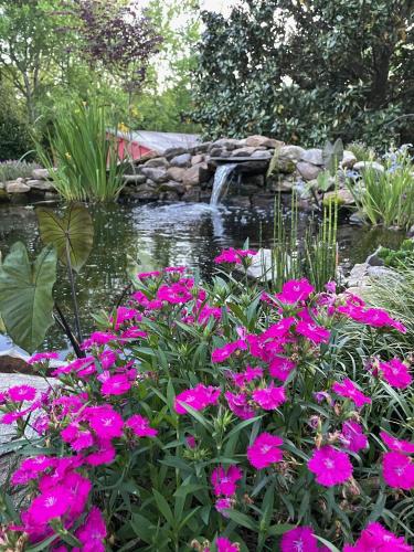Gillen House Bed and Breakfast - 정원