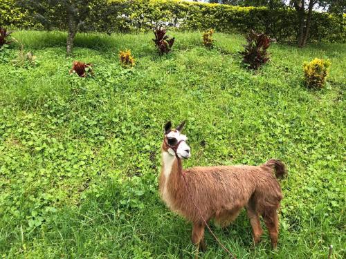 Rancho Ecoturistico el Faro