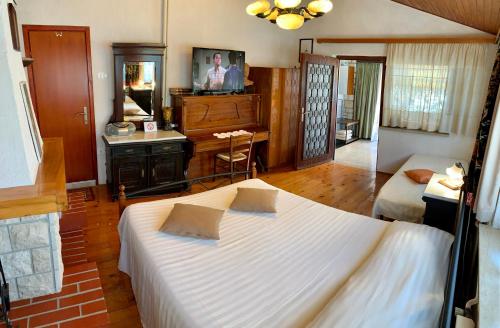 Apartments Villa Mattossi - image 4