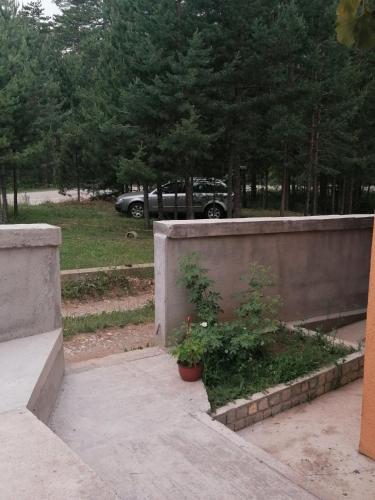 Medina koliba - image 2
