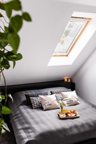 Apartament w centrum 3 Apartament w centrum 3