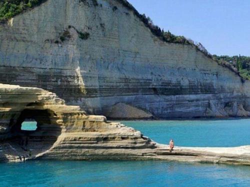 olivegrove - image 14