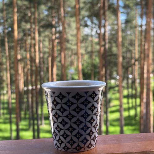 Apartman CROWN Zlatibor Vila Leonardo 6