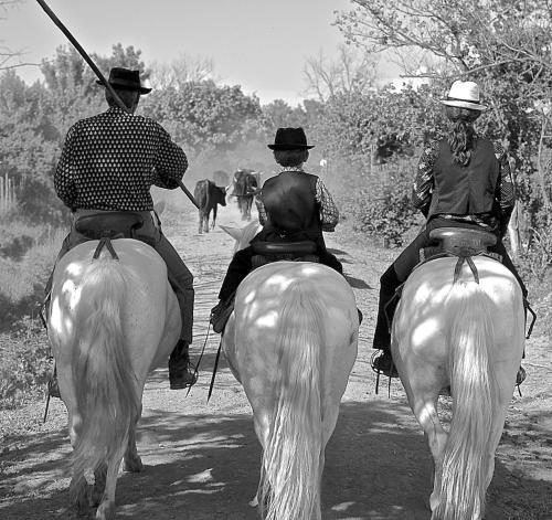 Mas du Menage en Camargue Manade Clauzel - Albaron