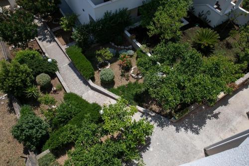 Apartments by the sea Igrane, Makarska - 18069, Igrane (photo 10)
