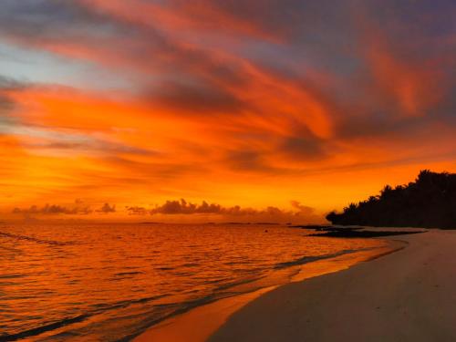 306602192 PERLA Dhangethi