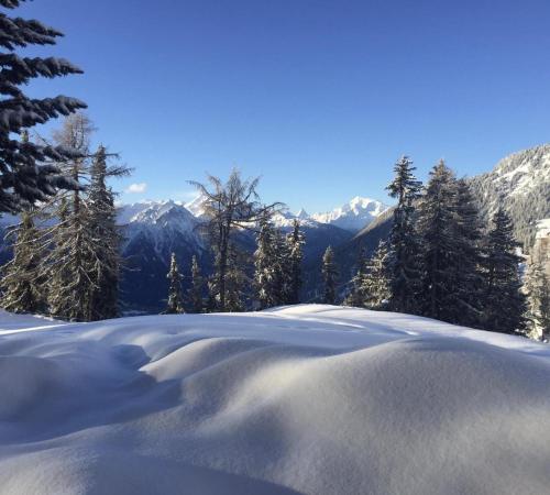 Schönegg Studio, Riederalp (foto 10)