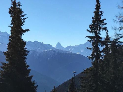 Schönegg Studio, Riederalp (foto 9)