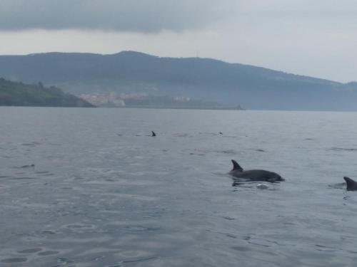  Bermeoko Etxie La casa de Bermeo EBI-795 in Bermeo
