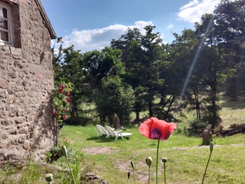 Superbe Moulin au bord d'une riviere, au calme, avec piano gîte à louer Malicorne