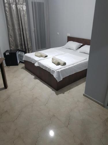 david's Guesthouse kobuleti