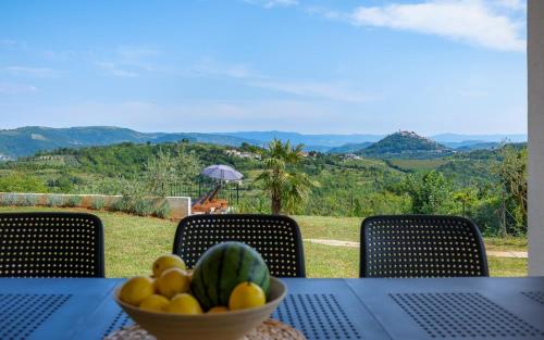 Motovun view villa