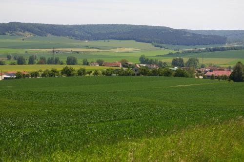 Gite au Chalet in Laferte-sur-Aube
