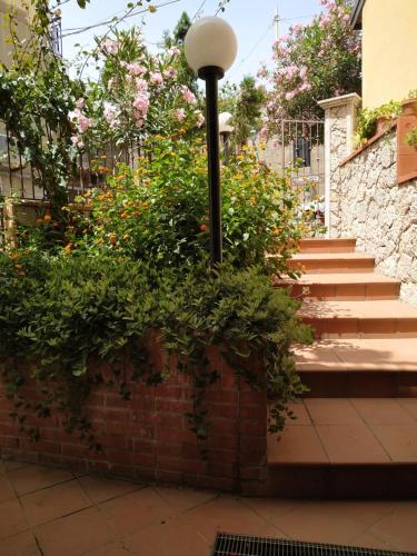 Casa dell'oleandro Room Type - Apartment with Sea View