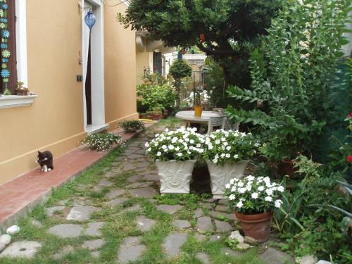 Perla B&b – Venice, GA