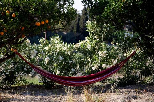 The Rosemary House gîte à louer Blue Bay