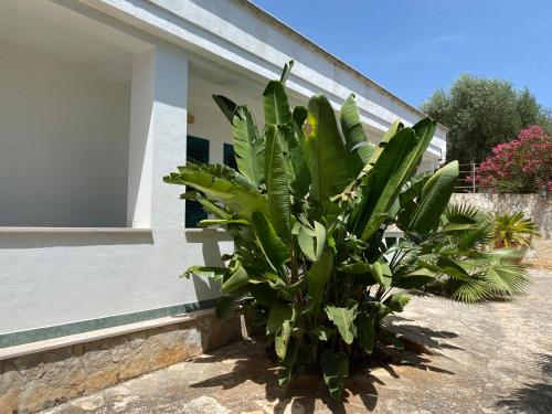 Città Bianca Country Resort - image 13