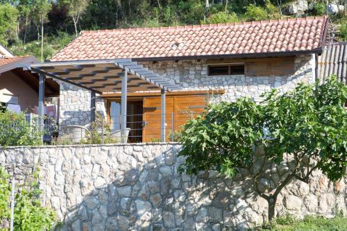 House with Terrace