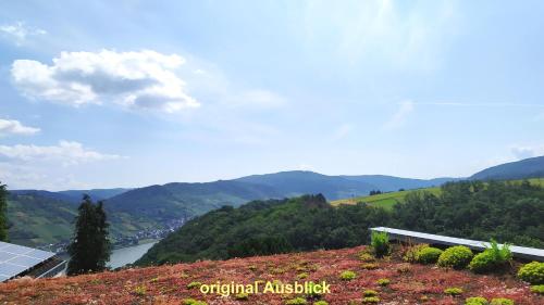 Schau-Rhein#2 - on Top of Bacharach, Rhineview in Bacharach, Deutschland