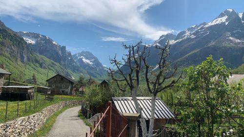 Lingkungan sekitar, Guest House Ulaj in Virpazar