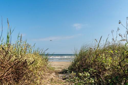 Cast a Waves - Great Beach Bungalow - Close to the Gulf - image 6