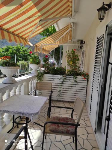 Arijana Accommodation - image 8