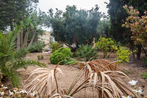 Ta' Bertu Host Family Bed & Breakfast - image 9