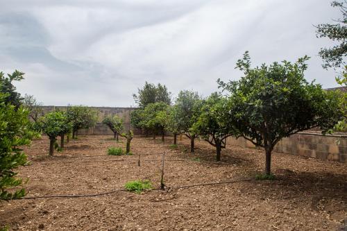 Ta' Bertu Host Family Bed & Breakfast - image 14