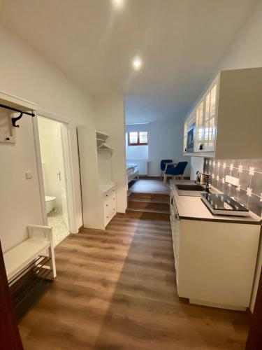 Kitchen, Apartmany V ulicce Frymburk in Frymburk City Center