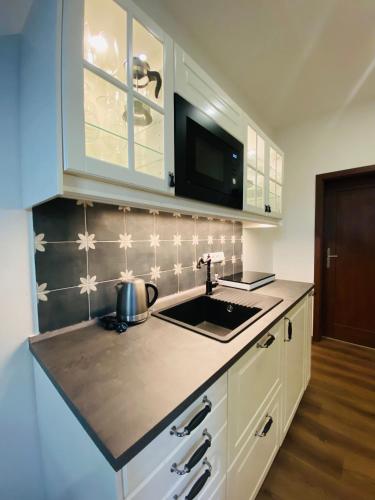 Kitchen, Apartmany V ulicce Frymburk in Frymburk City Center