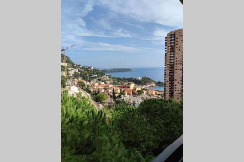 Vue mer Monaco