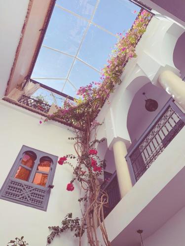 Riad of the Light