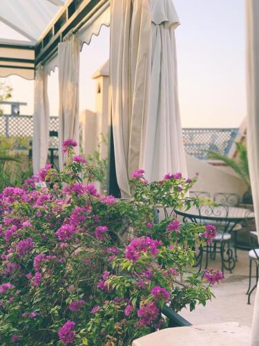 Riad of the Light