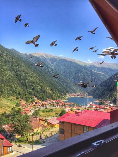 Uzungöl Özbek Apart ve Kafe