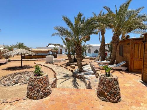 Vaade, Dolphin Camp & Diving in Dahab